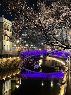 PurpleDay Nagoya 2025